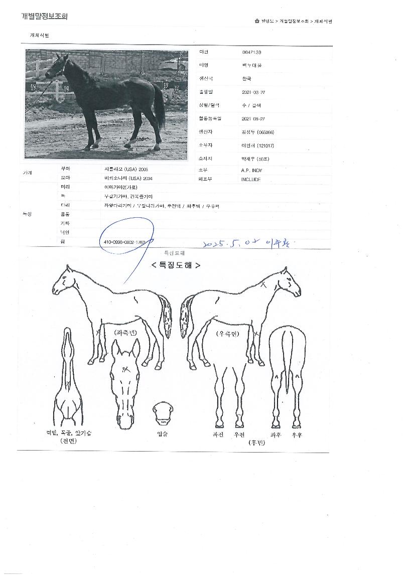 ��δ빰�� ����,���,�޸�,�λ�,�ٸ��� Ư¡����