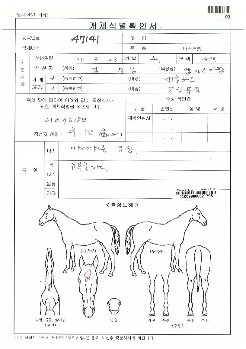 ��׹����ڸ��� ����,���,�޸�,�λ�,�ٸ��� Ư¡����