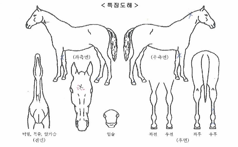 ��������� ����,���,�޸�,�λ�,�ٸ��� Ư¡����