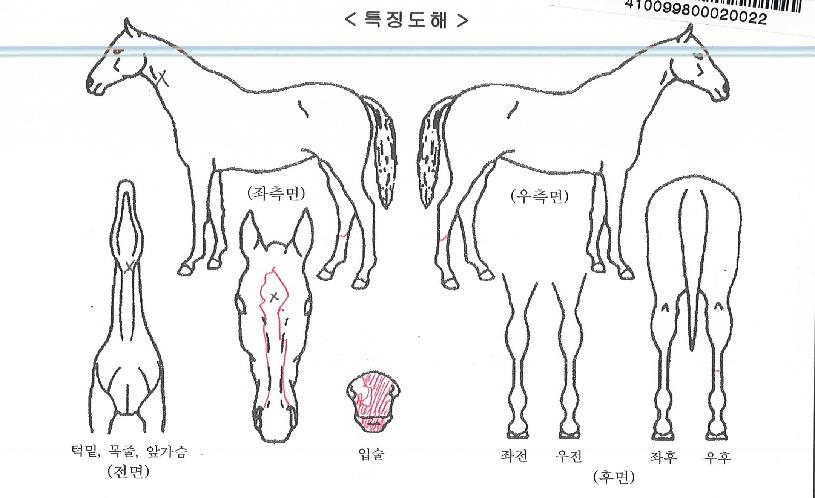 ��Ŭ������ ����,���,�޸�,�λ�,�ٸ��� Ư¡����