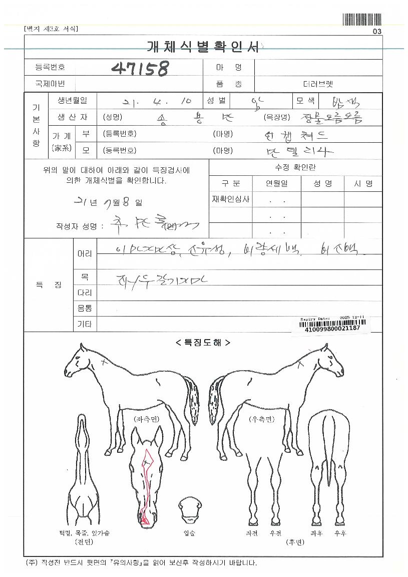 �����Ǿ��� ����,���,�޸�,�λ�,�ٸ��� Ư¡����