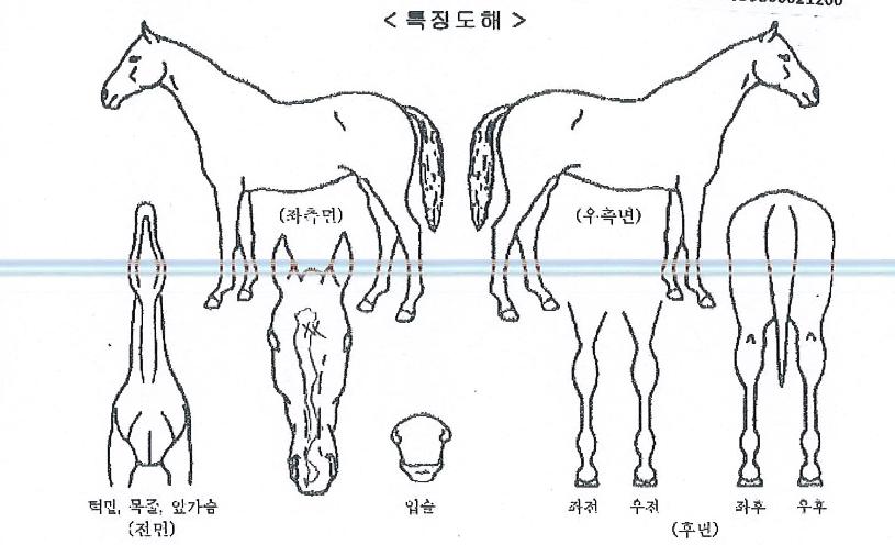 ĭ��Ʈ�� ����,���,�޸�,�λ�,�ٸ��� Ư¡����