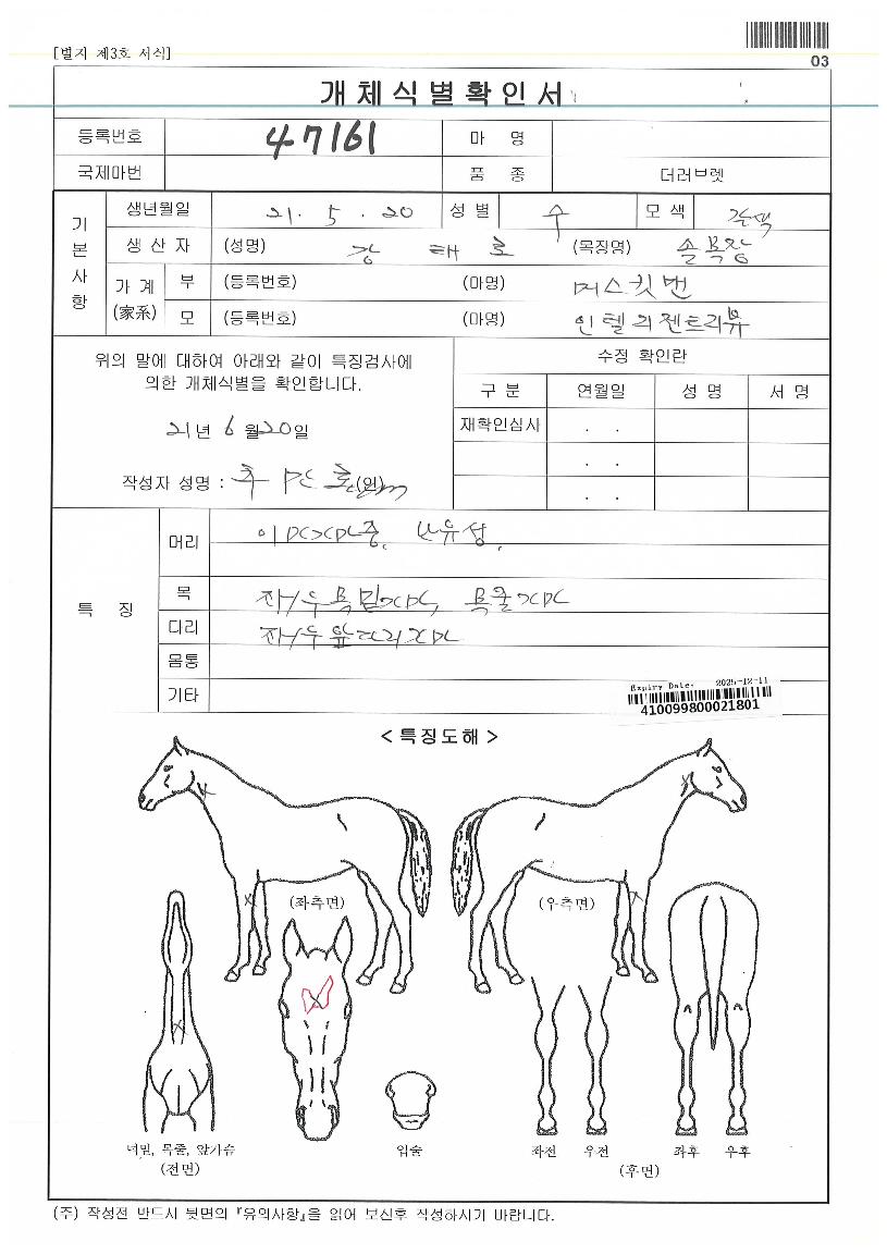 ºò¸ð¾îÀÇ Ãø¸é,¿ì¸é,µÞ¸é,µÎ»ó,´Ù¸®ÀÇ Æ¯Â¡µµÇØ