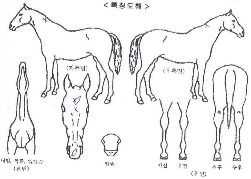 �����Ŭ������ ����,���,�޸�,�λ�,�ٸ��� Ư¡����