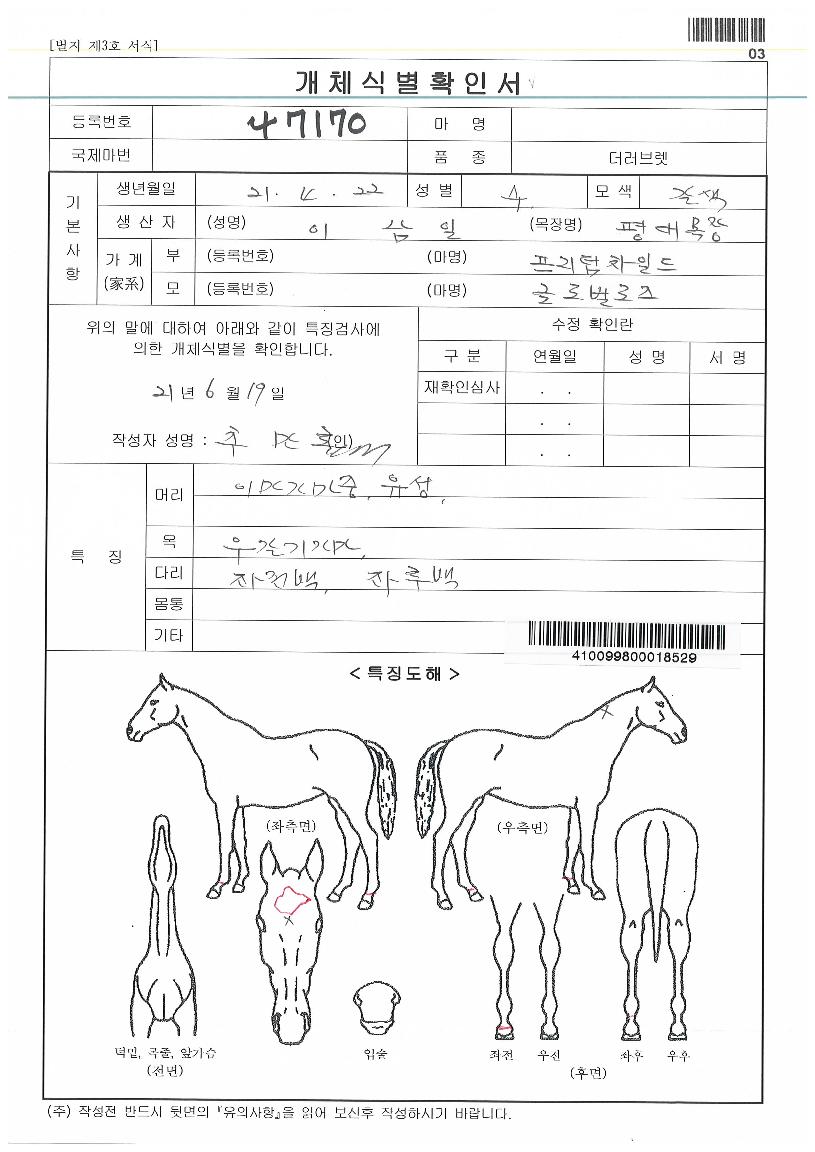 ±Û·Î¹ú·ÎÁîÀÚ¸¶ÀÇ Ãø¸é,¿ì¸é,µÞ¸é,µÎ»ó,´Ù¸®ÀÇ Æ¯Â¡µµÇØ