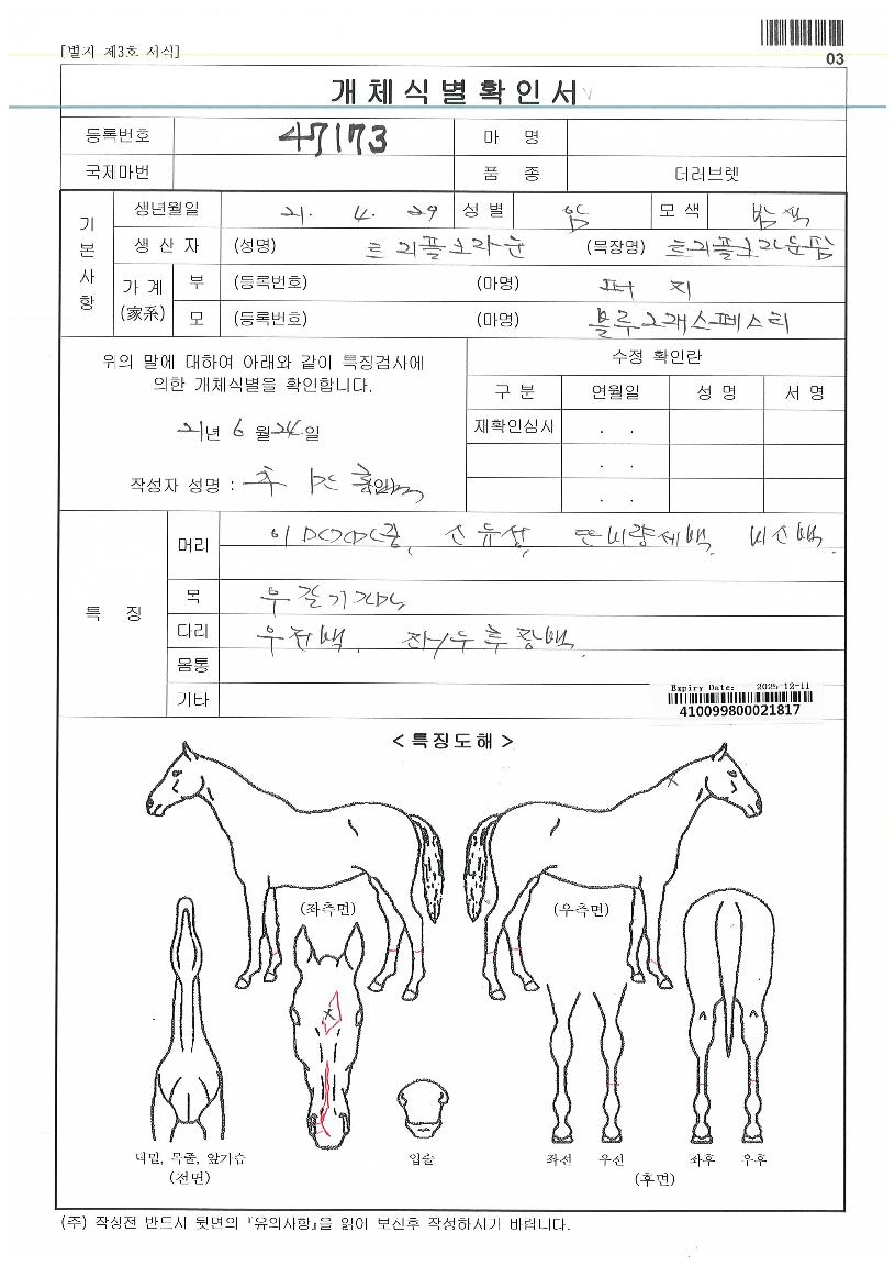 ´º¸®´õÀÇ Ãø¸é,¿ì¸é,µÞ¸é,µÎ»ó,´Ù¸®ÀÇ Æ¯Â¡µµÇØ