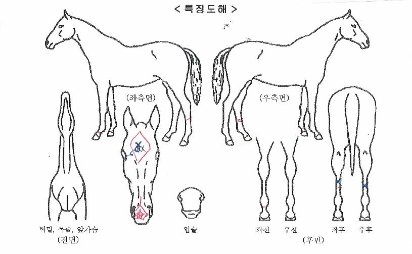 ����ƽ������ ����,���,�޸�,�λ�,�ٸ��� Ư¡����