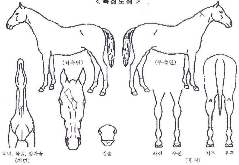 ������Ʈ������ ����,���,�޸�,�λ�,�ٸ��� Ư¡����