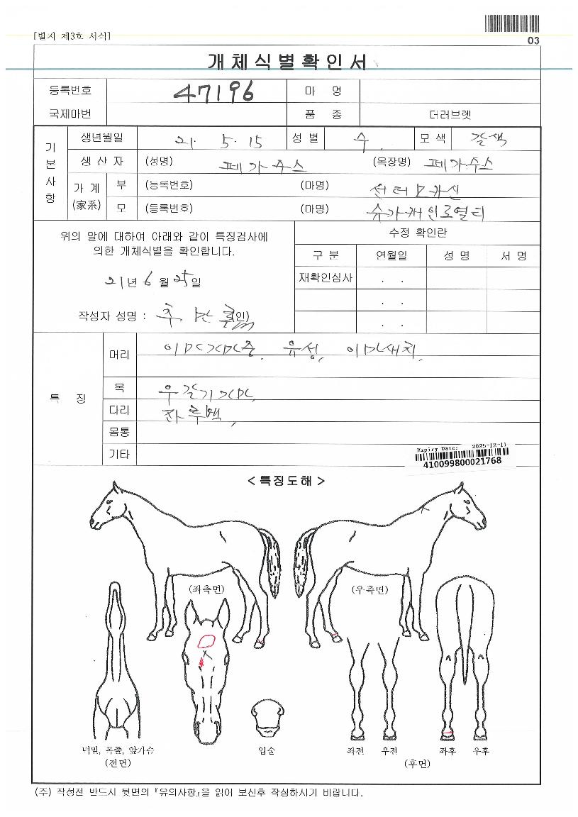 �ڳ�ű�� ����,���,�޸�,�λ�,�ٸ��� Ư¡����