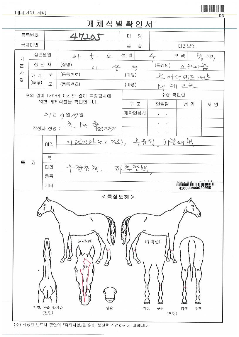 ¹Ì·¡½ºÅ¸ÀÚ¸¶ÀÇ Ãø¸é,¿ì¸é,µÞ¸é,µÎ»ó,´Ù¸®ÀÇ Æ¯Â¡µµÇØ