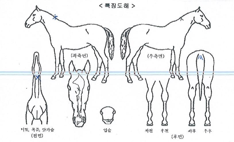 ��Ʈ����� ����,���,�޸�,�λ�,�ٸ��� Ư¡����