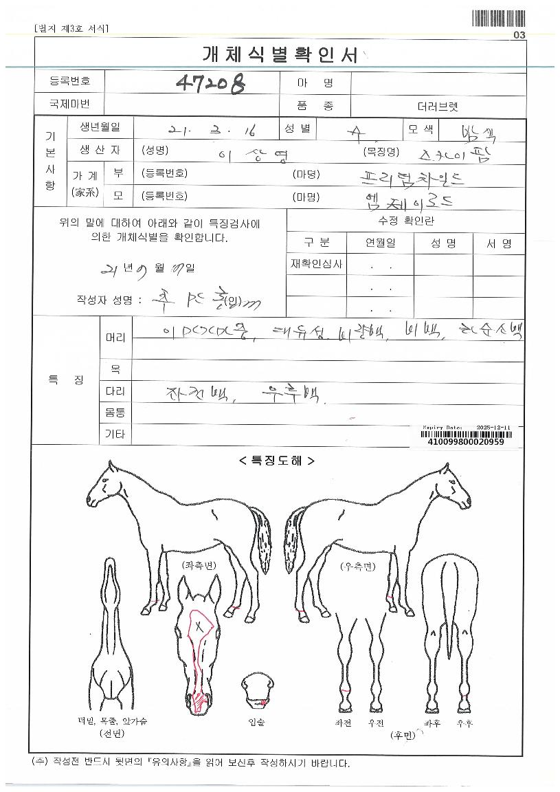 ¿¥Á¦À̷εåÀÚ¸¶ÀÇ Ãø¸é,¿ì¸é,µÞ¸é,µÎ»ó,´Ù¸®ÀÇ Æ¯Â¡µµÇØ