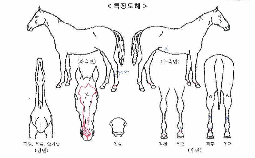 �׷�������� ����,���,�޸�,�λ�,�ٸ��� Ư¡����