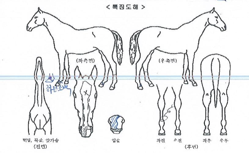 ����Ʈ����� ����,���,�޸�,�λ�,�ٸ��� Ư¡����