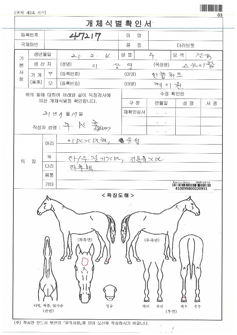 ½ºÄ«À̰íÀÇ Ãø¸é,¿ì¸é,µÞ¸é,µÎ»ó,´Ù¸®ÀÇ Æ¯Â¡µµÇØ