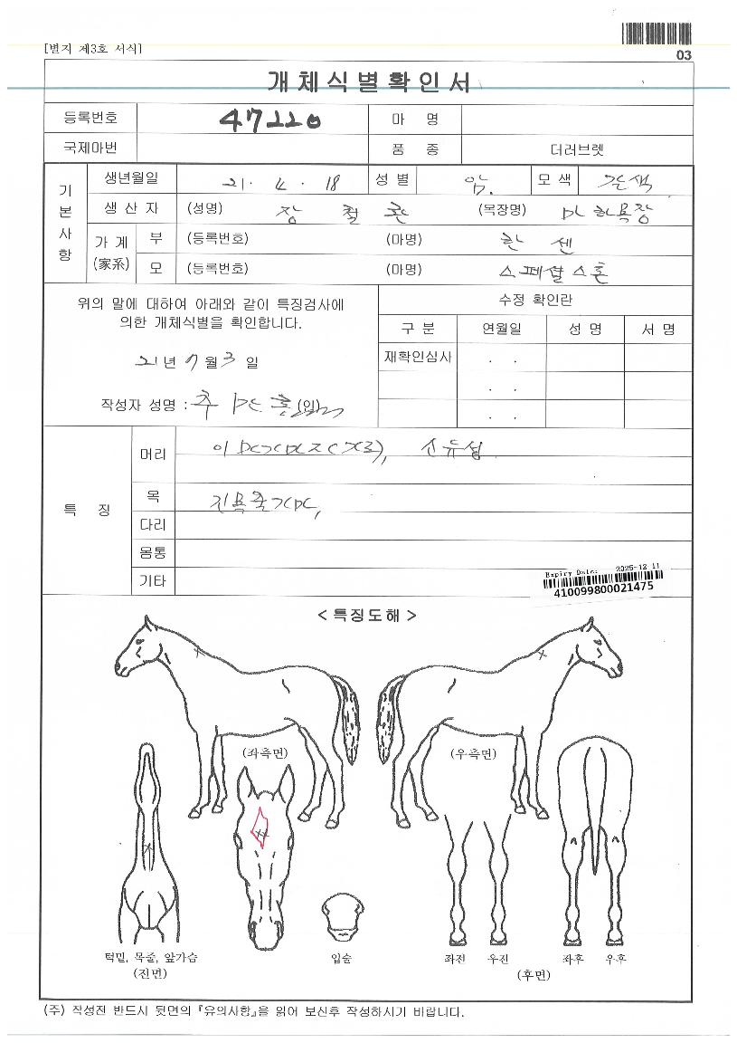 ½ºÆä¼È¿£ÁøÀÇ Ãø¸é,¿ì¸é,µÞ¸é,µÎ»ó,´Ù¸®ÀÇ Æ¯Â¡µµÇØ