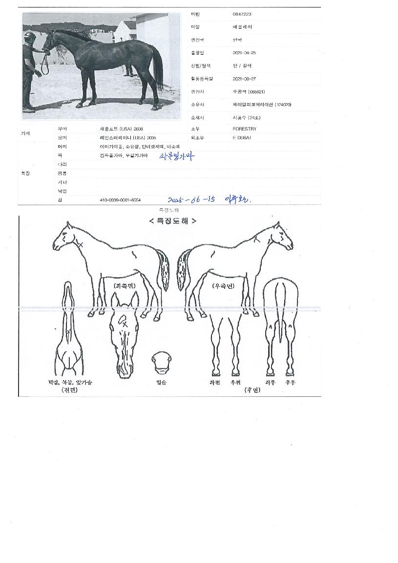 ¿¡Å¬·¹¾îÀÇ Ãø¸é,¿ì¸é,µÞ¸é,µÎ»ó,´Ù¸®ÀÇ Æ¯Â¡µµÇØ