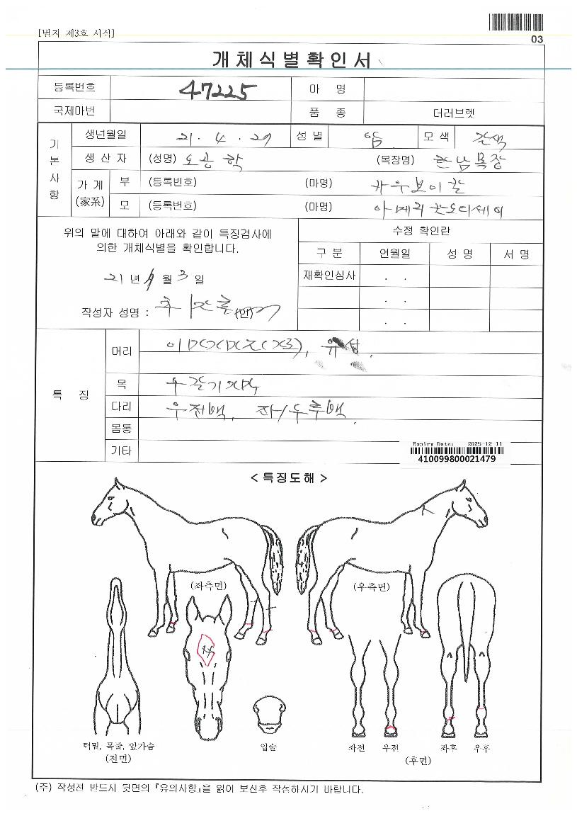 ·±Åõ·±ÀÇ Ãø¸é,¿ì¸é,µÞ¸é,µÎ»ó,´Ù¸®ÀÇ Æ¯Â¡µµÇØ