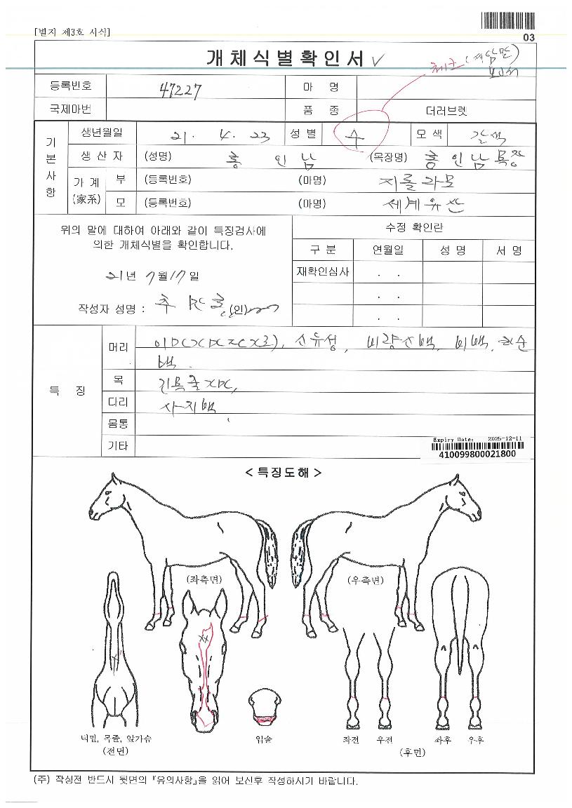 ¸¶ÇϸÇÀÇ Ãø¸é,¿ì¸é,µÞ¸é,µÎ»ó,´Ù¸®ÀÇ Æ¯Â¡µµÇØ