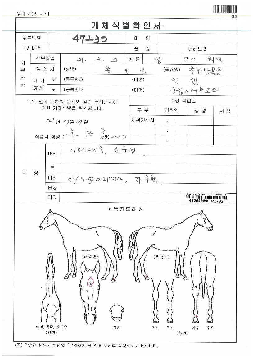 �����ε��� ����,���,�޸�,�λ�,�ٸ��� Ư¡����