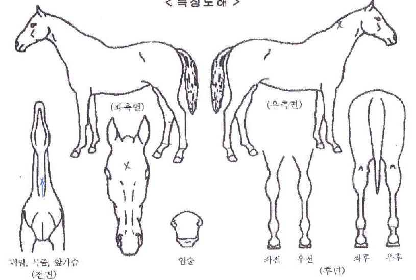 ���̺���� ����,���,�޸�,�λ�,�ٸ��� Ư¡����