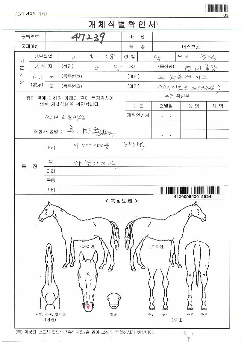 ·ÎÁ¨ÀÇ Ãø¸é,¿ì¸é,µÞ¸é,µÎ»ó,´Ù¸®ÀÇ Æ¯Â¡µµÇØ