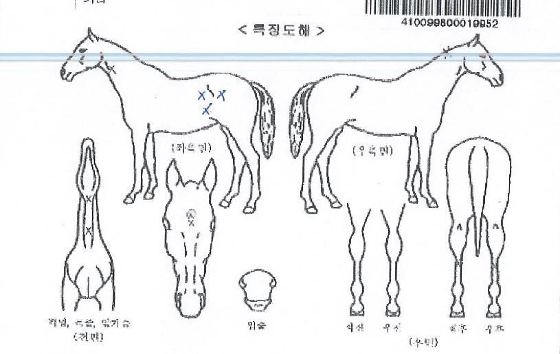 ��⳻��״��� ����,���,�޸�,�λ�,�ٸ��� Ư¡����
