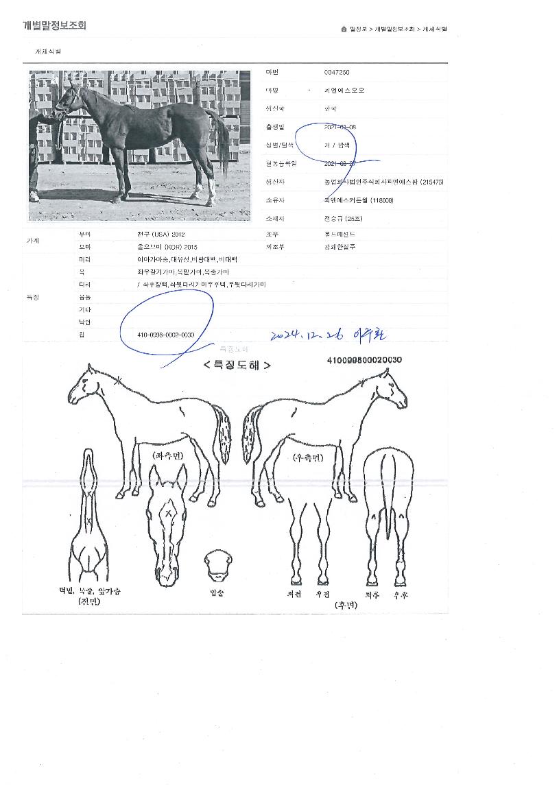 �ǿ����������� ����,���,�޸�,�λ�,�ٸ��� Ư¡����