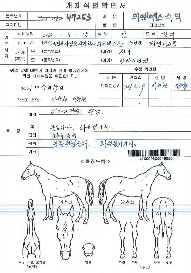 ÇÇ¿£¿¡½º½ºÆ½ÀÇ Ãø¸é,¿ì¸é,µÞ¸é,µÎ»ó,´Ù¸®ÀÇ Æ¯Â¡µµÇØ