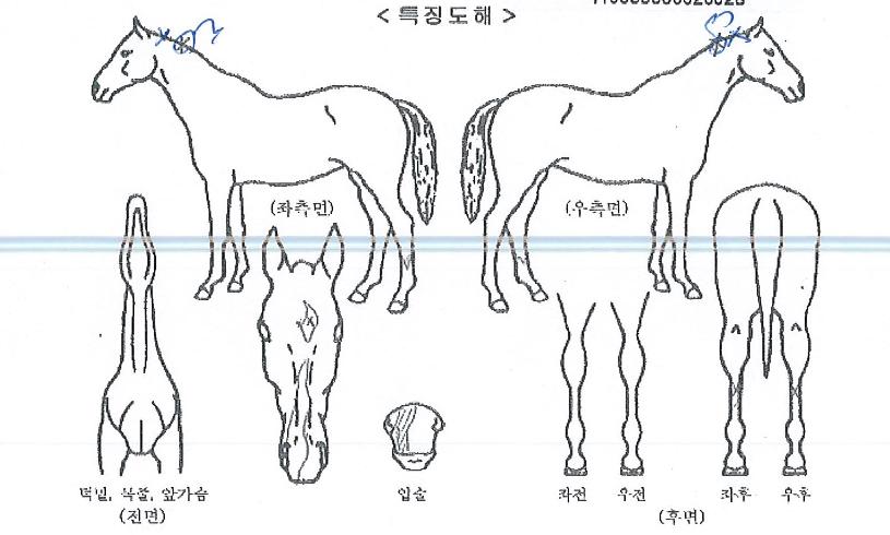 �ǿ����������� ����,���,�޸�,�λ�,�ٸ��� Ư¡����