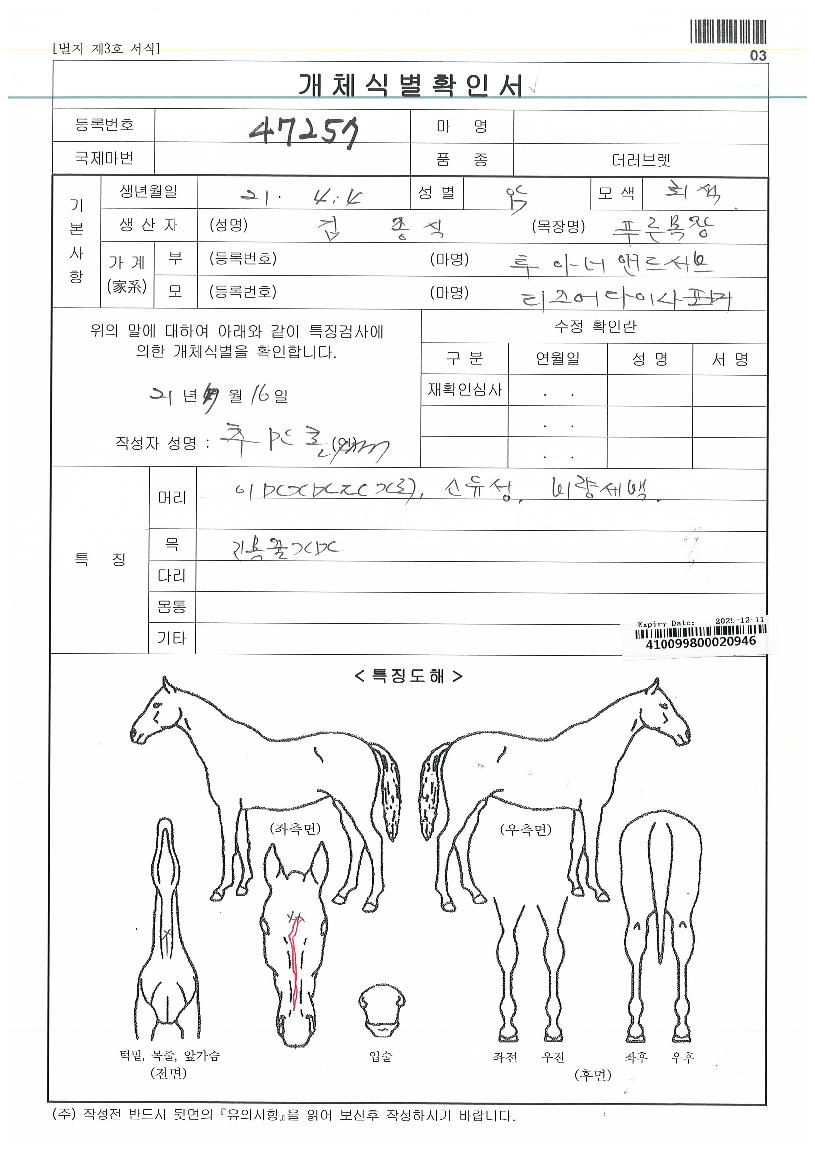 ƼÁî¾î´ÙÀ̳ªÆ÷¸ÓÀÚ¸¶ÀÇ Ãø¸é,¿ì¸é,µÞ¸é,µÎ»ó,´Ù¸®ÀÇ Æ¯Â¡µµÇØ