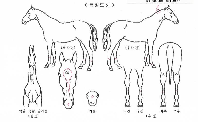 ������������ ����,���,�޸�,�λ�,�ٸ��� Ư¡����