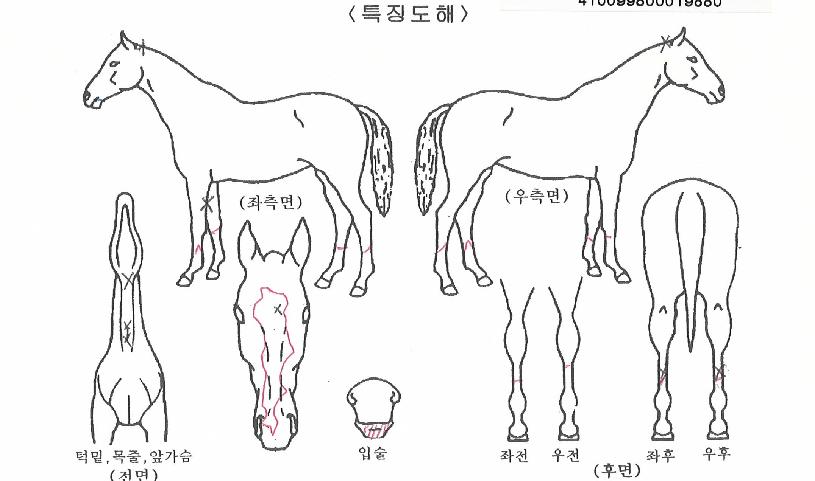 ��������� ����,���,�޸�,�λ�,�ٸ��� Ư¡����