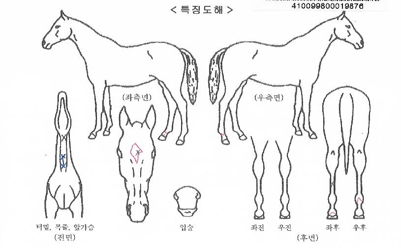 �л�뼼�� ����,���,�޸�,�λ�,�ٸ��� Ư¡����