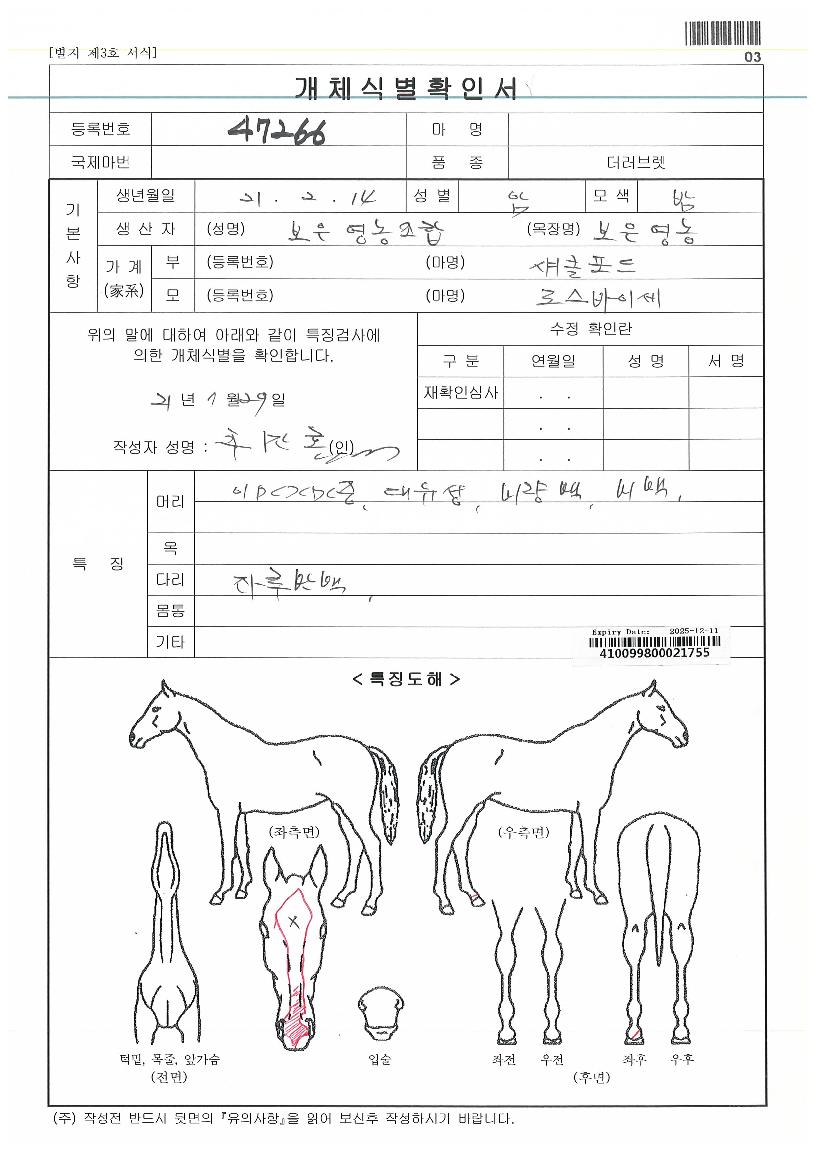 ±¹´ë¹Ì¶óŬÀÇ Ãø¸é,¿ì¸é,µÞ¸é,µÎ»ó,´Ù¸®ÀÇ Æ¯Â¡µµÇØ