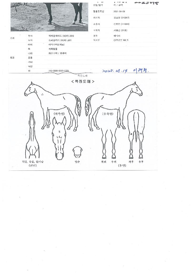 °í½ºÆ®µå·¡°ïÀÇ Ãø¸é,¿ì¸é,µÞ¸é,µÎ»ó,´Ù¸®ÀÇ Æ¯Â¡µµÇØ