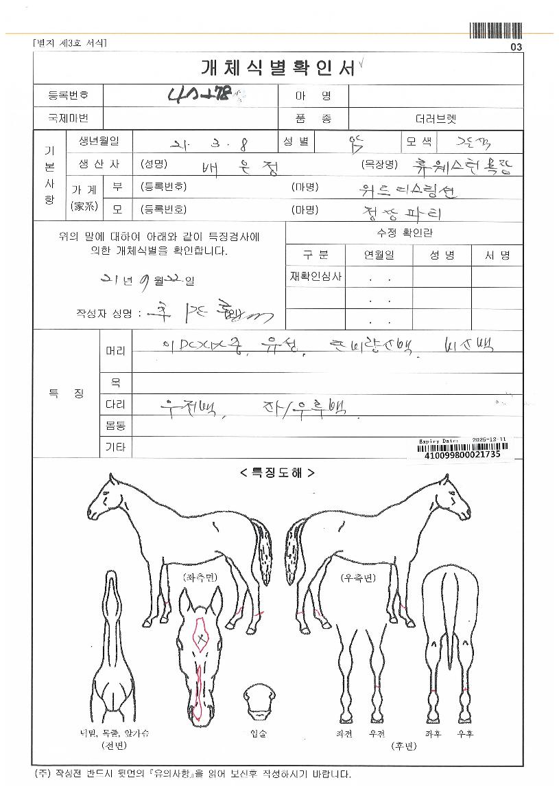 ºòÅÍÆÄÆ¼ÀÇ Ãø¸é,¿ì¸é,µÞ¸é,µÎ»ó,´Ù¸®ÀÇ Æ¯Â¡µµÇØ