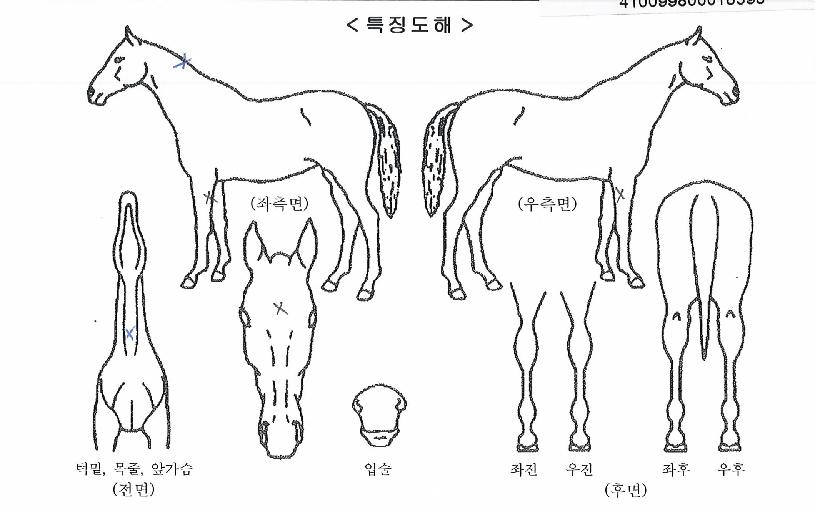 ¿ë¾Ï¼¼»óÀÇ Ãø¸é,¿ì¸é,µÞ¸é,µÎ»ó,´Ù¸®ÀÇ Æ¯Â¡µµÇØ