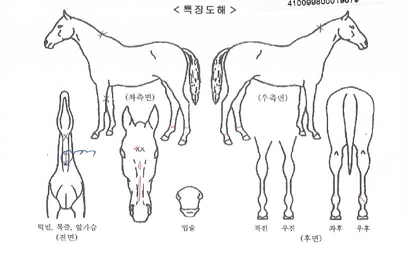 �۷ι��޴��� ����,���,�޸�,�λ�,�ٸ��� Ư¡����