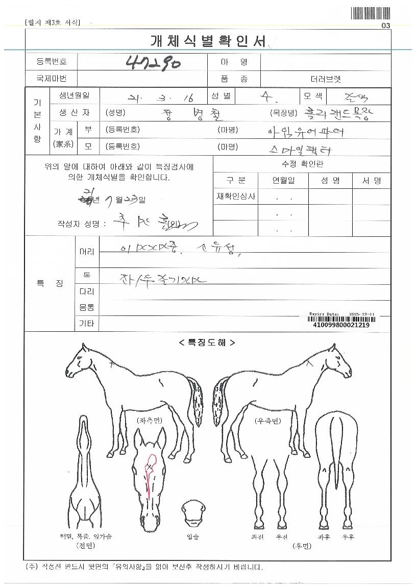 �����������ڸ��� ����,���,�޸�,�λ�,�ٸ��� Ư¡����