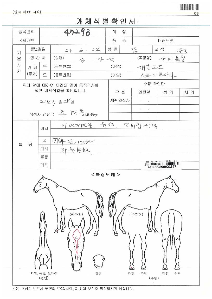 ÄÉÀÌ¿ø´õ¿ì¸ÕÀÇ Ãø¸é,¿ì¸é,µÞ¸é,µÎ»ó,´Ù¸®ÀÇ Æ¯Â¡µµÇØ