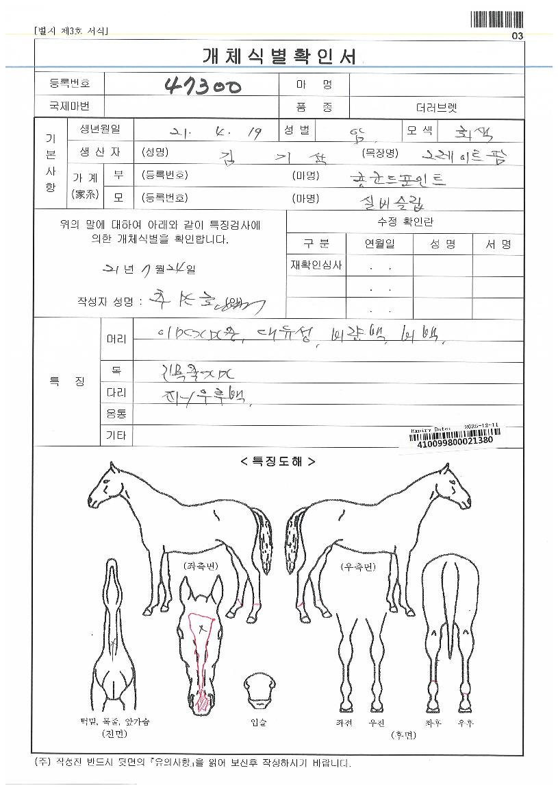 �Ǻ񽽸��ڸ��� ����,���,�޸�,�λ�,�ٸ��� Ư¡����