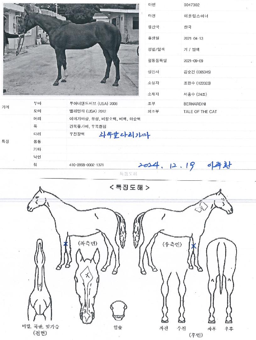 ��Ŭ�����Ƴ��� ����,���,�޸�,�λ�,�ٸ��� Ư¡����