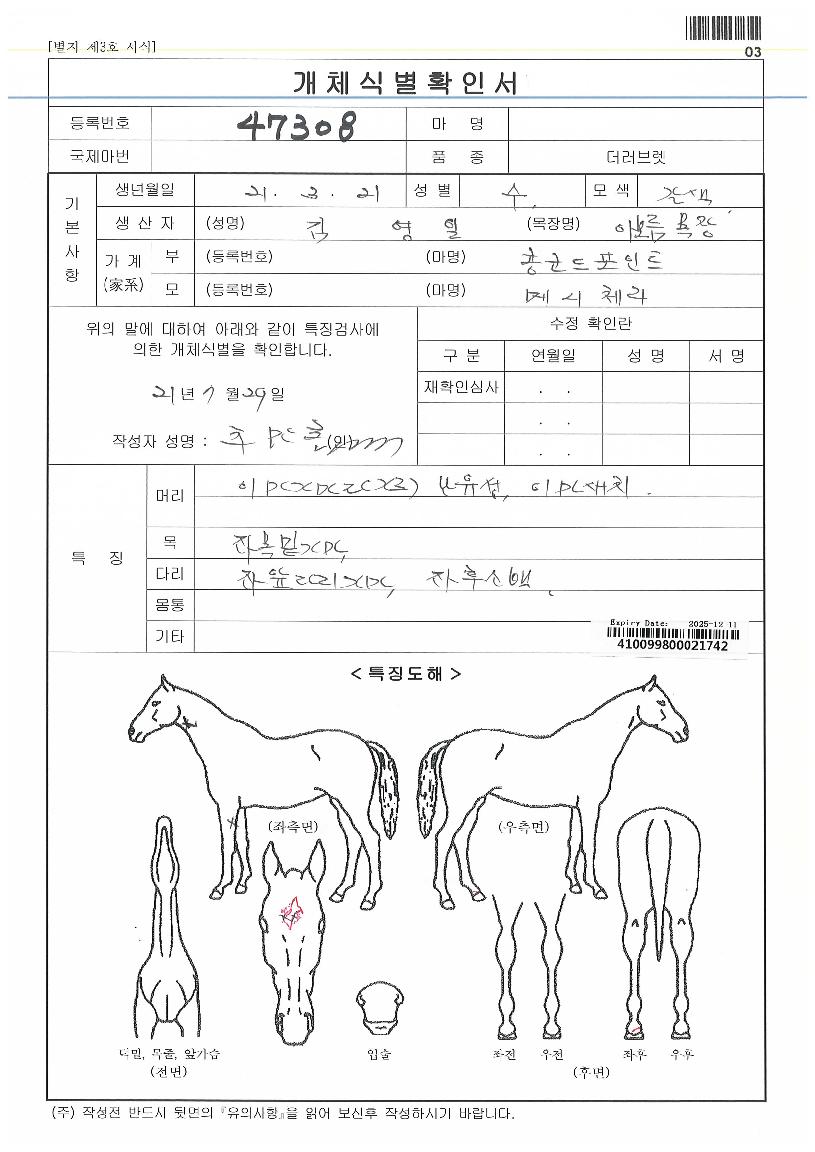 �ϴ������� ����,���,�޸�,�λ�,�ٸ��� Ư¡����