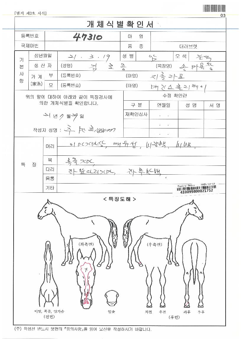 ÅõÅõ¸Ó´Ï°ÇÀÇ Ãø¸é,¿ì¸é,µÞ¸é,µÎ»ó,´Ù¸®ÀÇ Æ¯Â¡µµÇØ