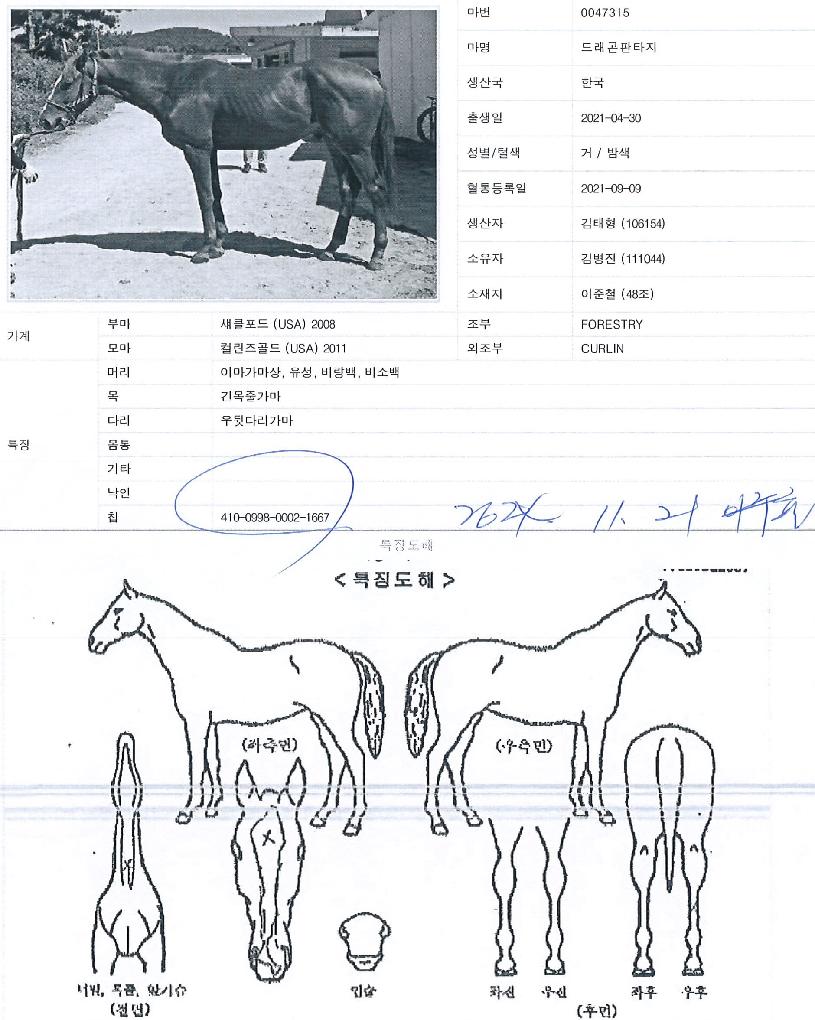 �巡����Ÿ���� ����,���,�޸�,�λ�,�ٸ��� Ư¡����