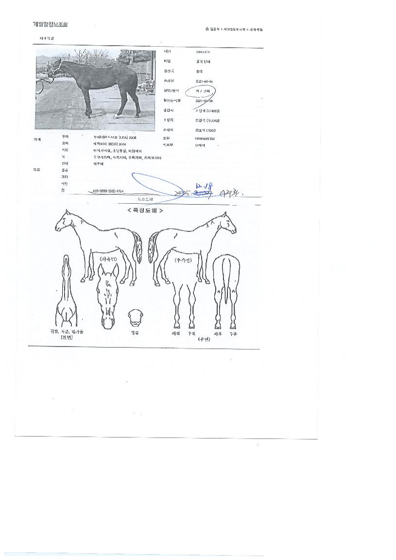 ��������� ����,���,�޸�,�λ�,�ٸ��� Ư¡����