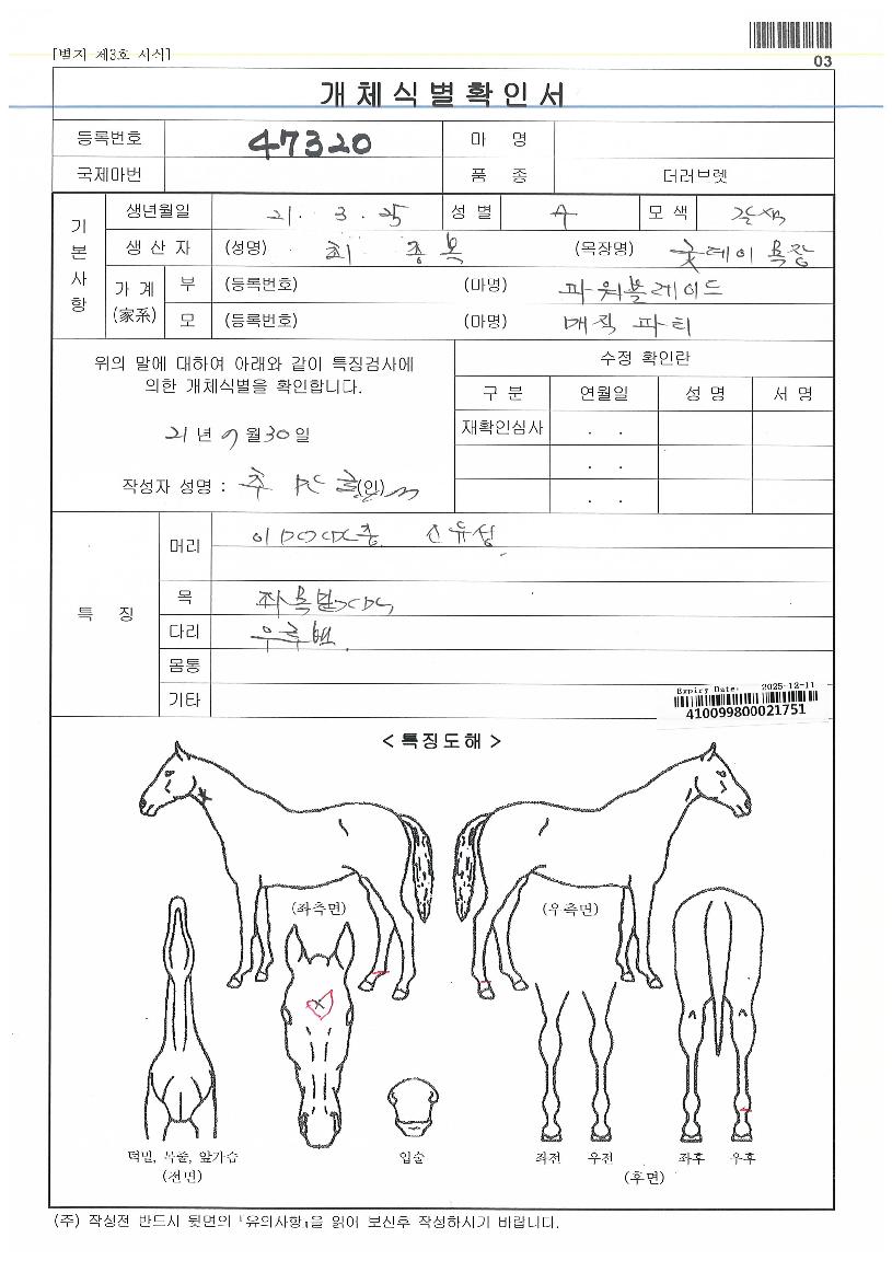 �ε�����Ƽ�� ����,���,�޸�,�λ�,�ٸ��� Ư¡����