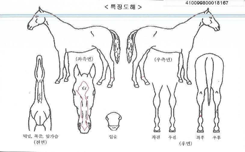 ������ ����,���,�޸�,�λ�,�ٸ��� Ư¡����