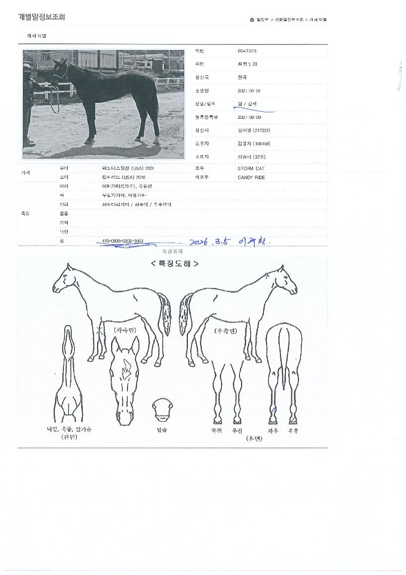 ¿øÆò´©¸®ÀÇ Ãø¸é,¿ì¸é,µÞ¸é,µÎ»ó,´Ù¸®ÀÇ Æ¯Â¡µµÇØ